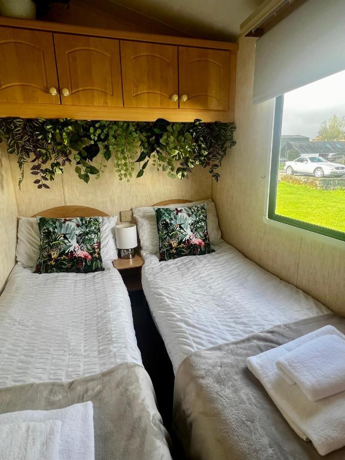 Jungle House No.26 At Three Lochs Holiday Park Newton Stewart Exterior foto